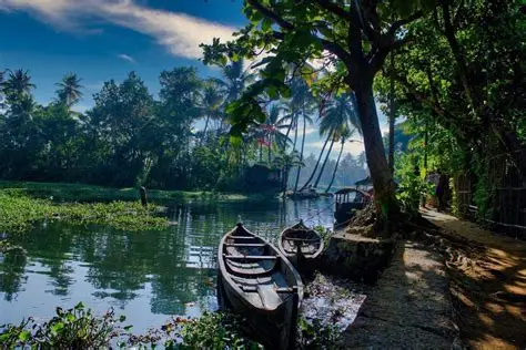Discover the Magic of Kerala Tourism: A Guide to God’s Own Country